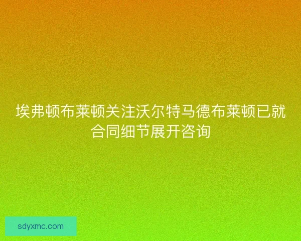 埃弗顿布莱顿关注沃尔特马德布莱顿已就合同细节展开咨询