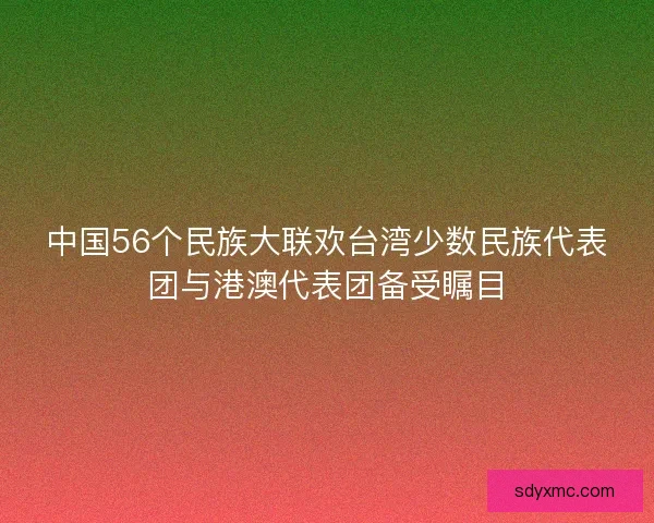 中国56个民族大联欢台湾少数民族代表团与港澳代表团备受瞩目